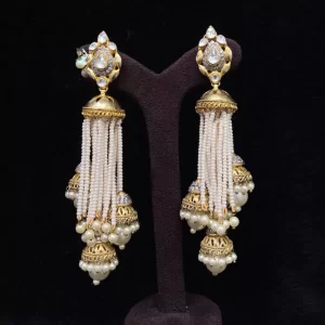 Ethnic Earrings